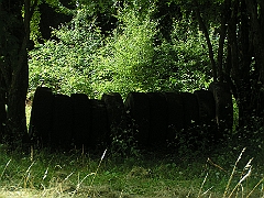 DIVERS 2009 629